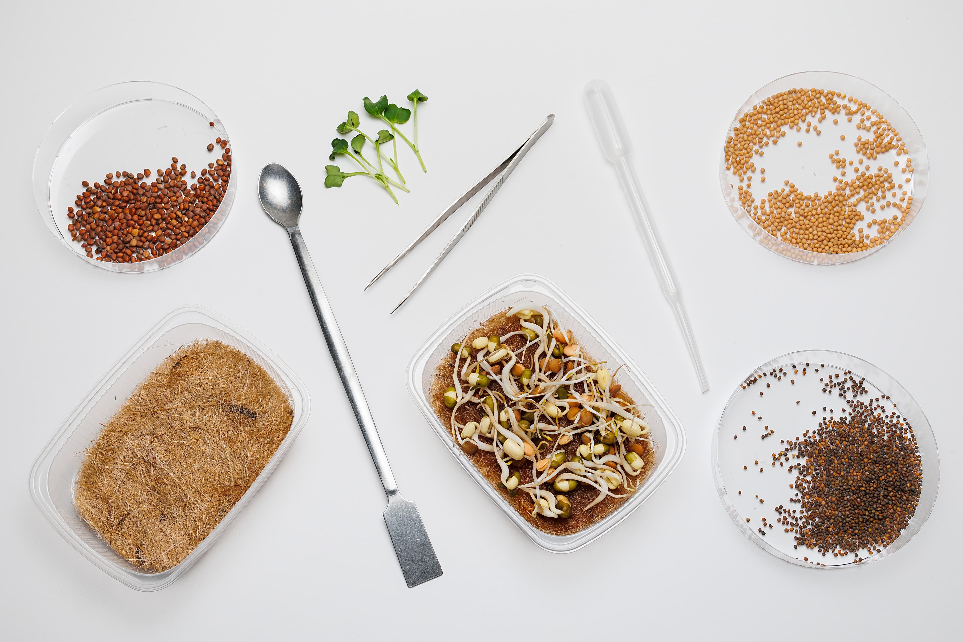 Лаборатория микрозелени (Зарядье)