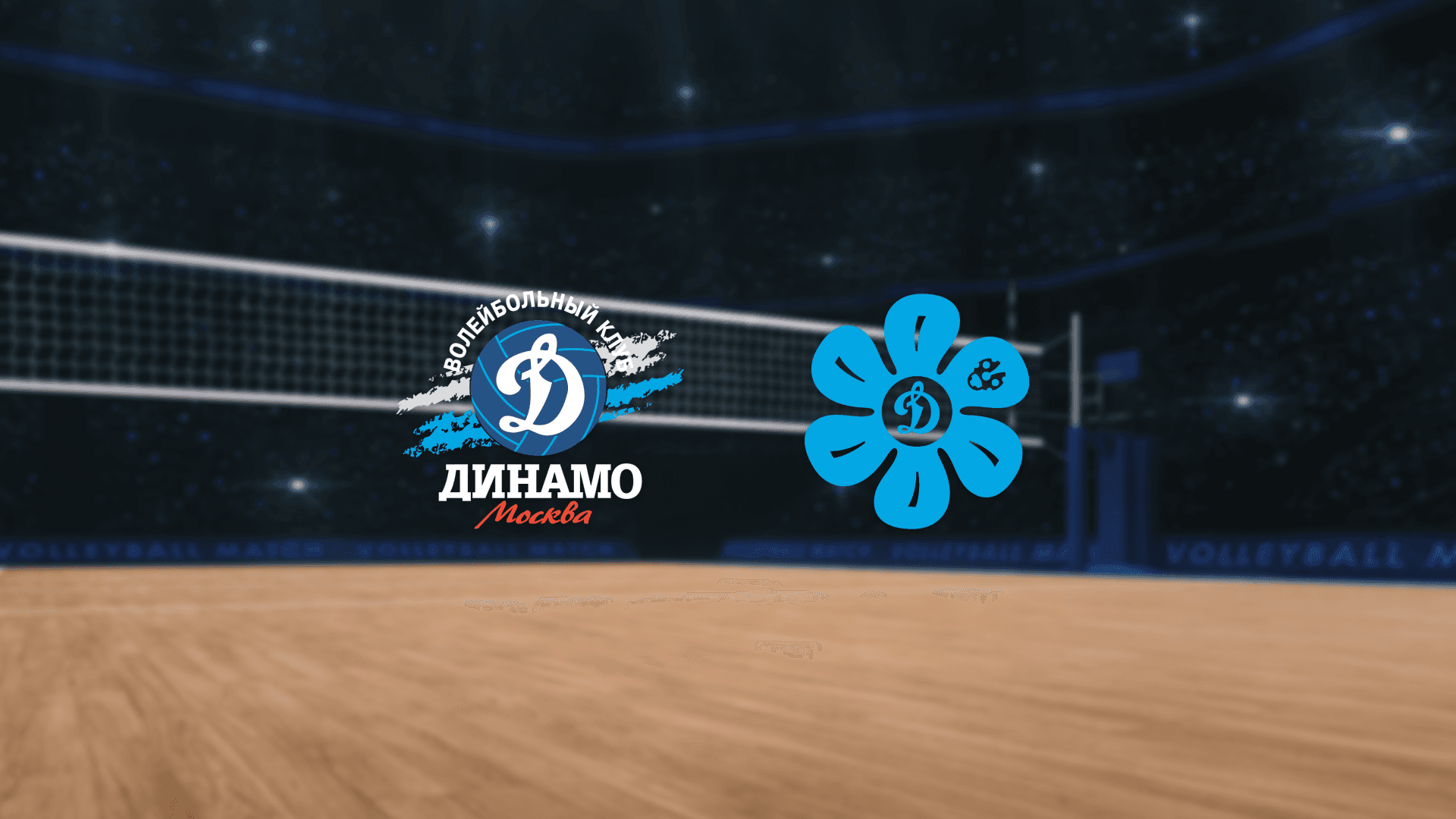 ЖВК Динамо — Динамо-Ак Барс (Зал «Дружба»)