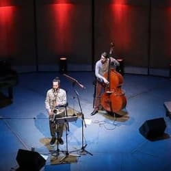 Masala quartet: пряные путешествия