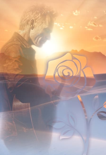 Desert Rose Symphony: Шоу Sting